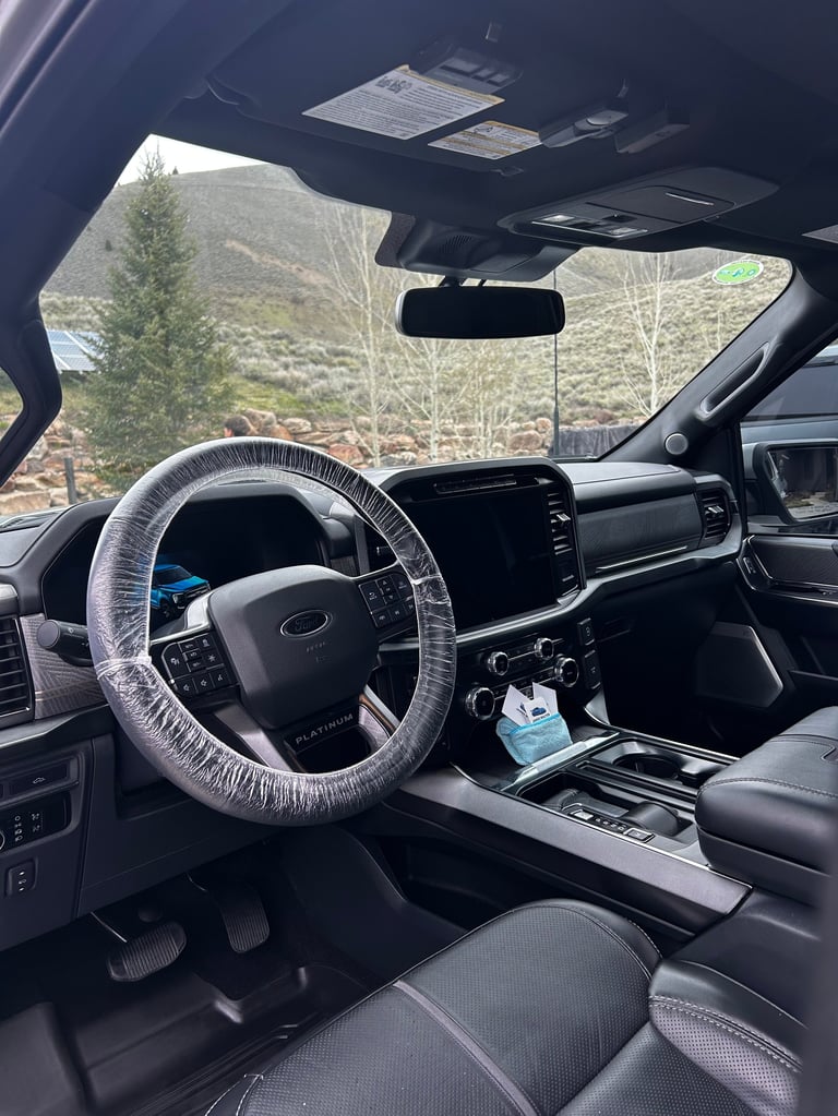 Interior view of a Ford truck cab with wrapped steering wheel, dashboard, and windshield view of mountains and trees